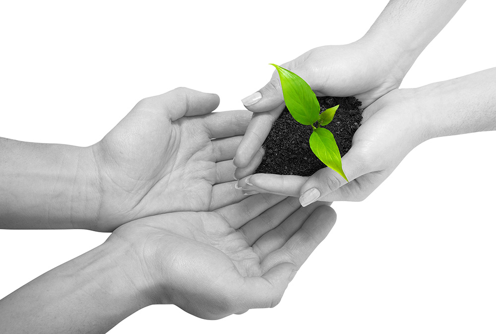 DDOS压力测试网页端